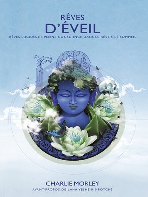 cover image of Rêves d'éveil